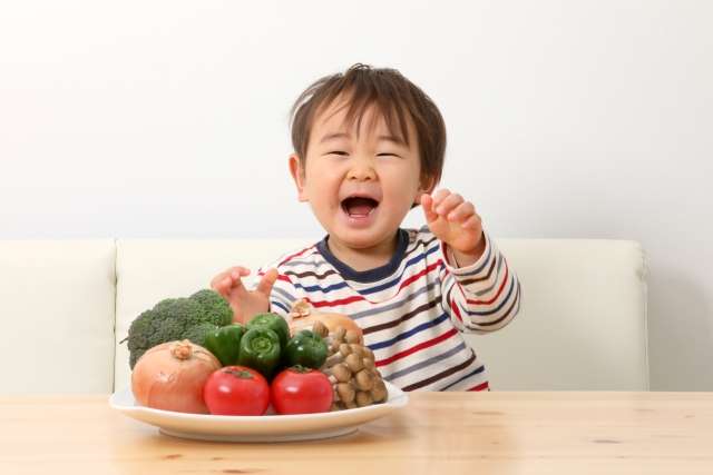 新玉～春キャベツ～♪食育と進化している知育菓子を見てみる☆